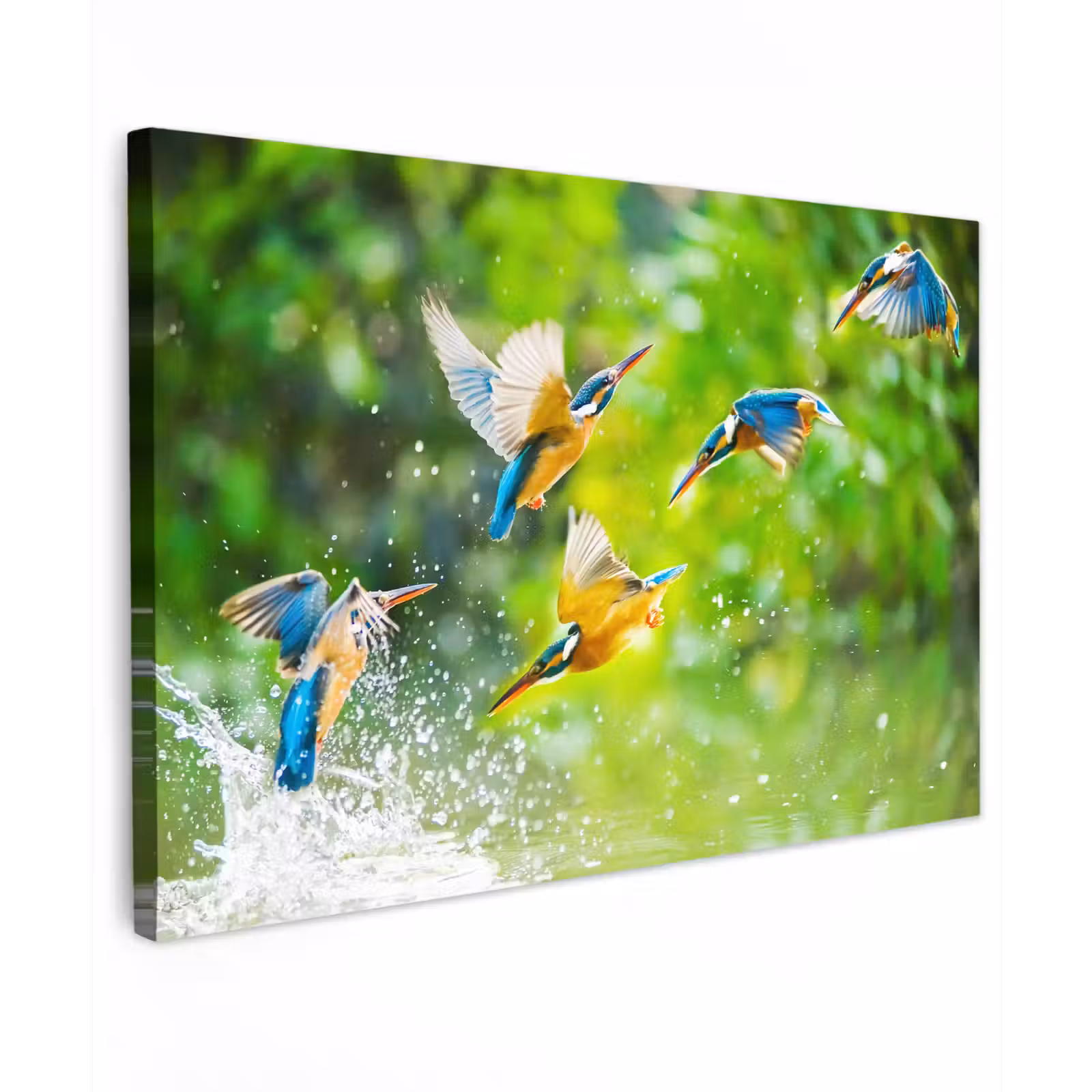 Buiten canvas - IJsvogels vliegen in het water — 1