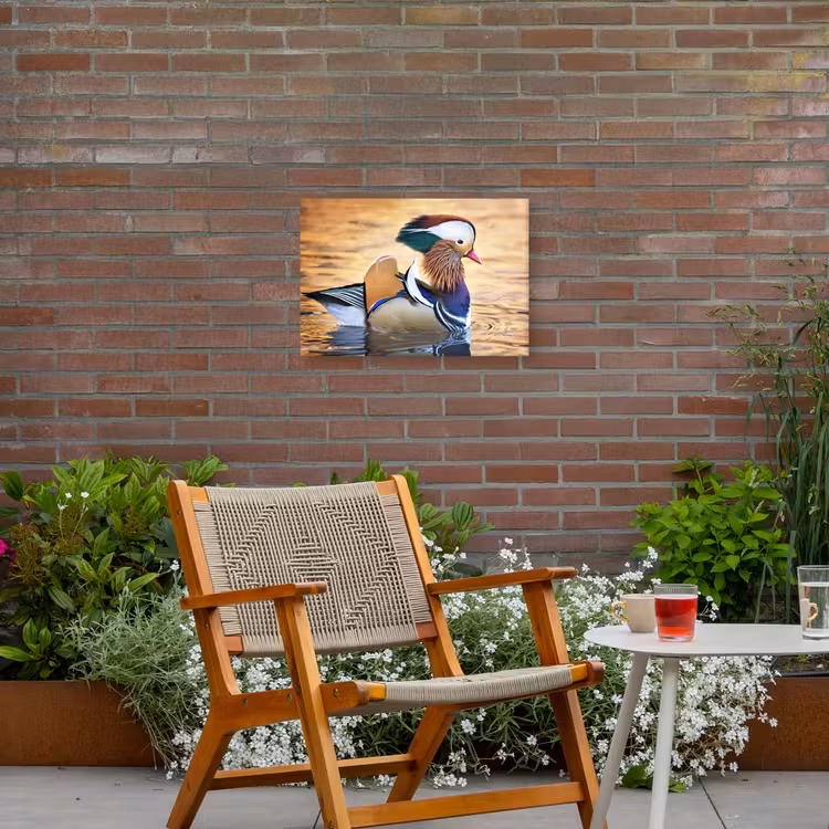 Buiten canvas - Close-up mandarijneend — 2