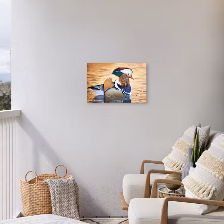 Buiten canvas - Close-up mandarijneend — 4