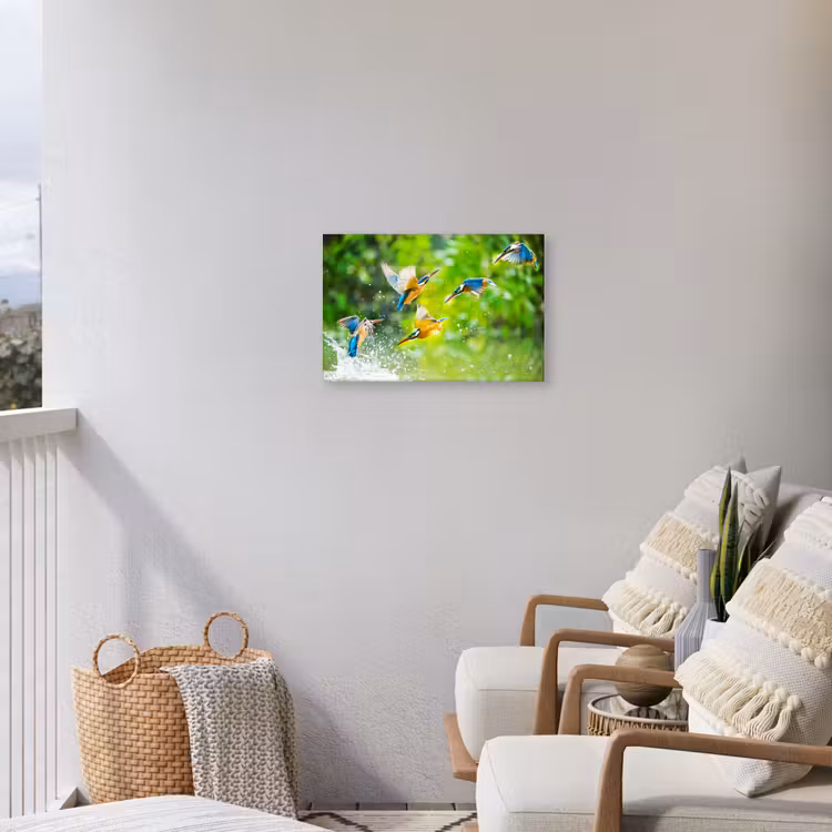 Buiten canvas - IJsvogels vliegen in het water — 4