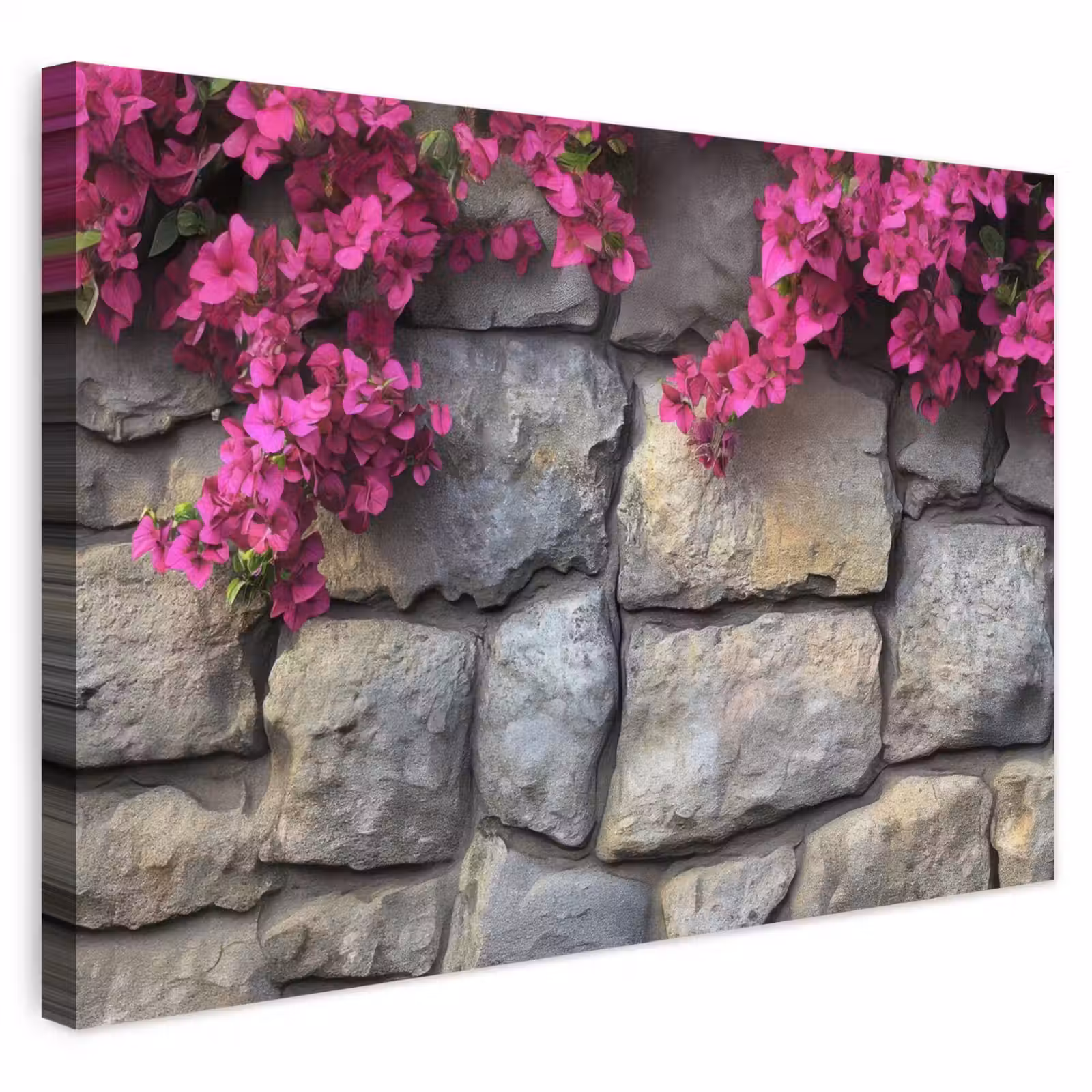Buiten canvas - Bougainvillea - Stenen Muur - Roze — 1