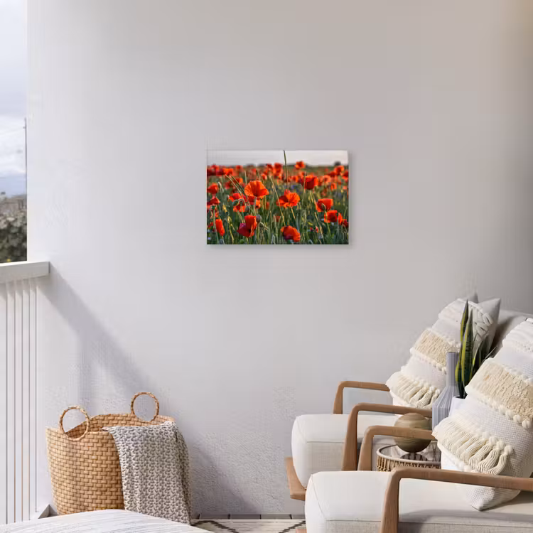 Buiten canvas - Bloemen - Klaprozen - Natuur - Rood — 4