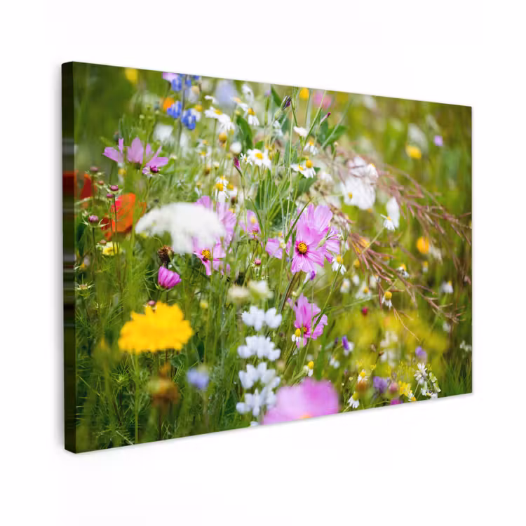 Buiten canvas - Bloemen - Natuur - Groen - Gras - Paars - Wit — 1