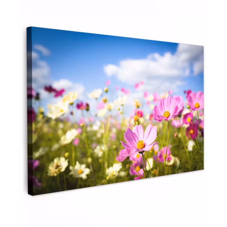 Buiten canvas - Bloemen - Wei - Paars - Gras - Wit - Wolken - Blauw — 1