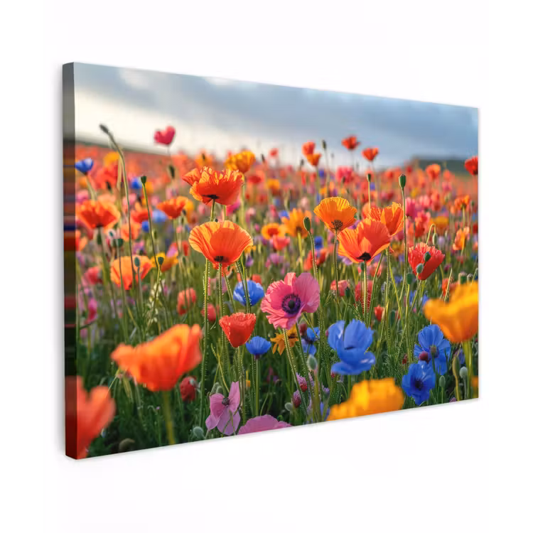 Buiten canvas - Bloemenweide in volle bloei — 1