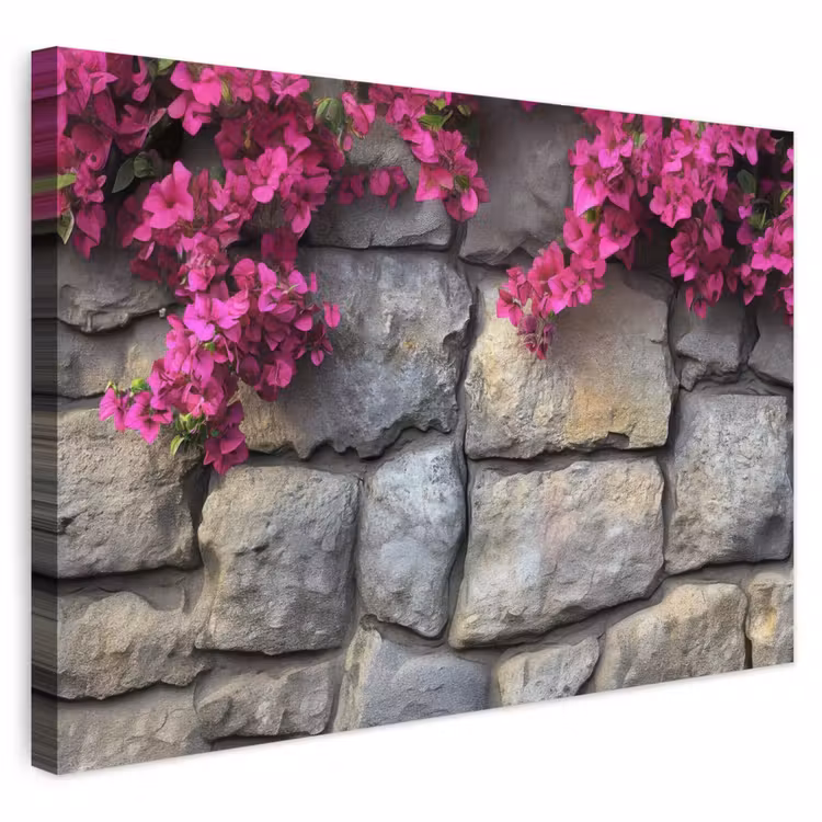 Buiten canvas - Bougainvillea - Stenen Muur - Roze — 1