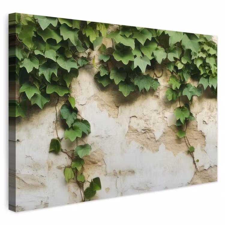 Buiten canvas - Klimop - Muur - Groen — 1