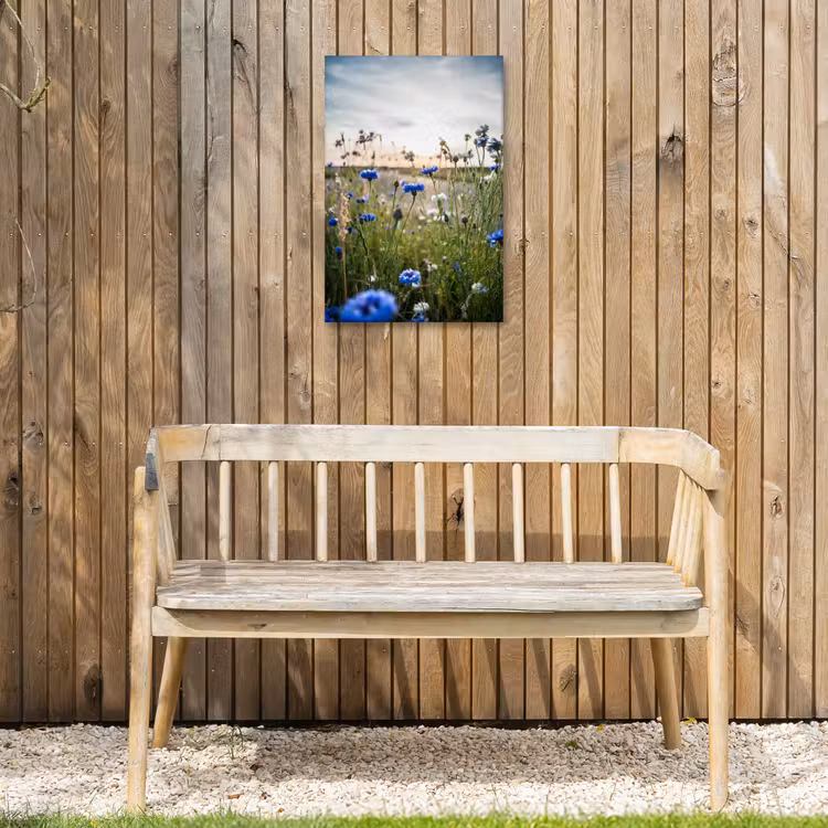 Buiten canvas - Korenbloemen bij zonsondergang — 3