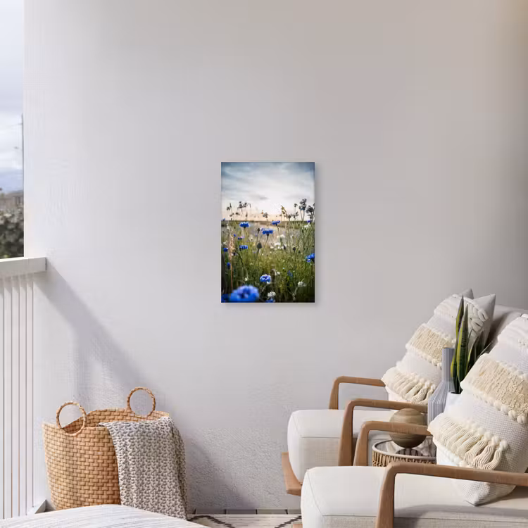 Buiten canvas - Korenbloemen bij zonsondergang — 4