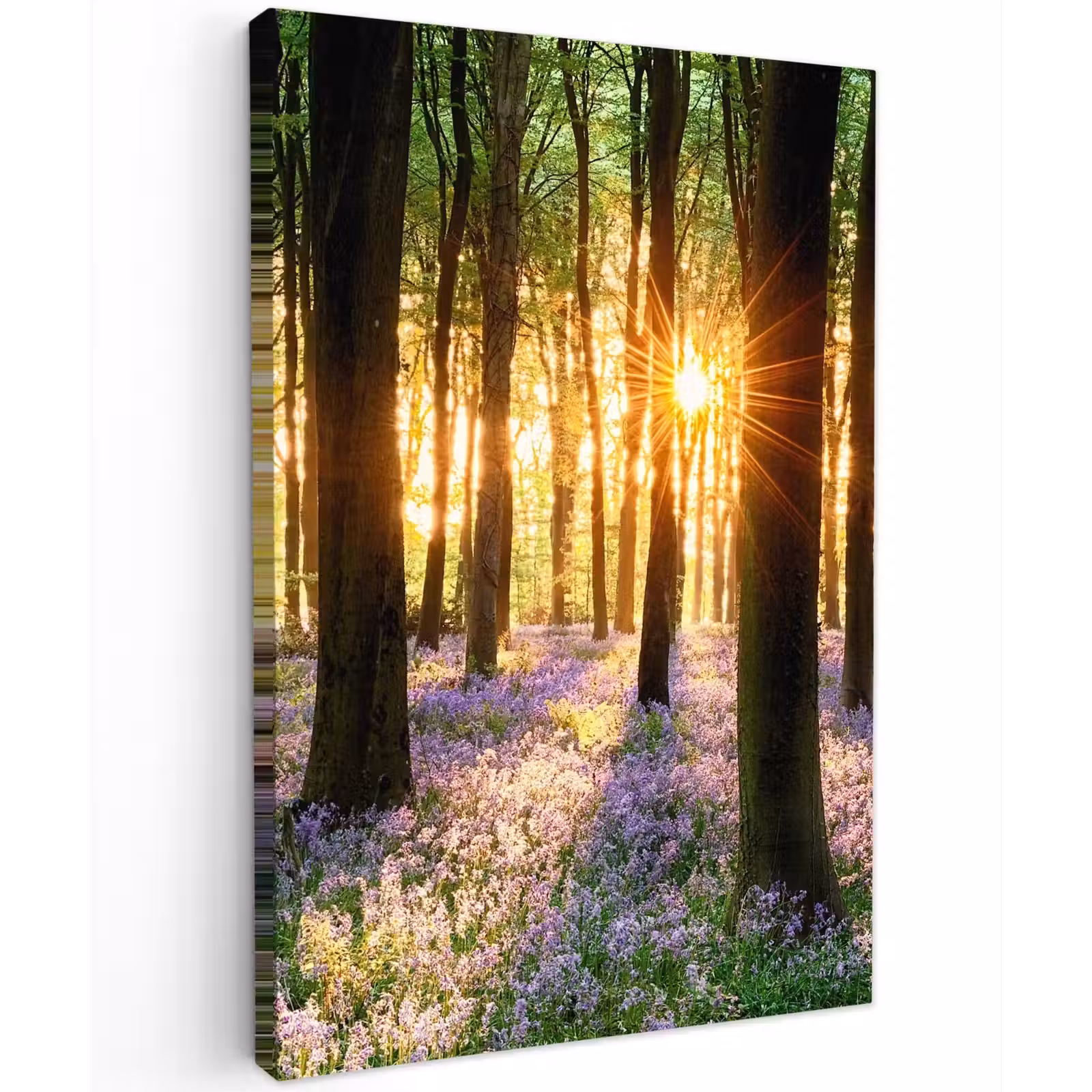 Buiten canvas - Bloemenzee in het ochtendlicht — 1