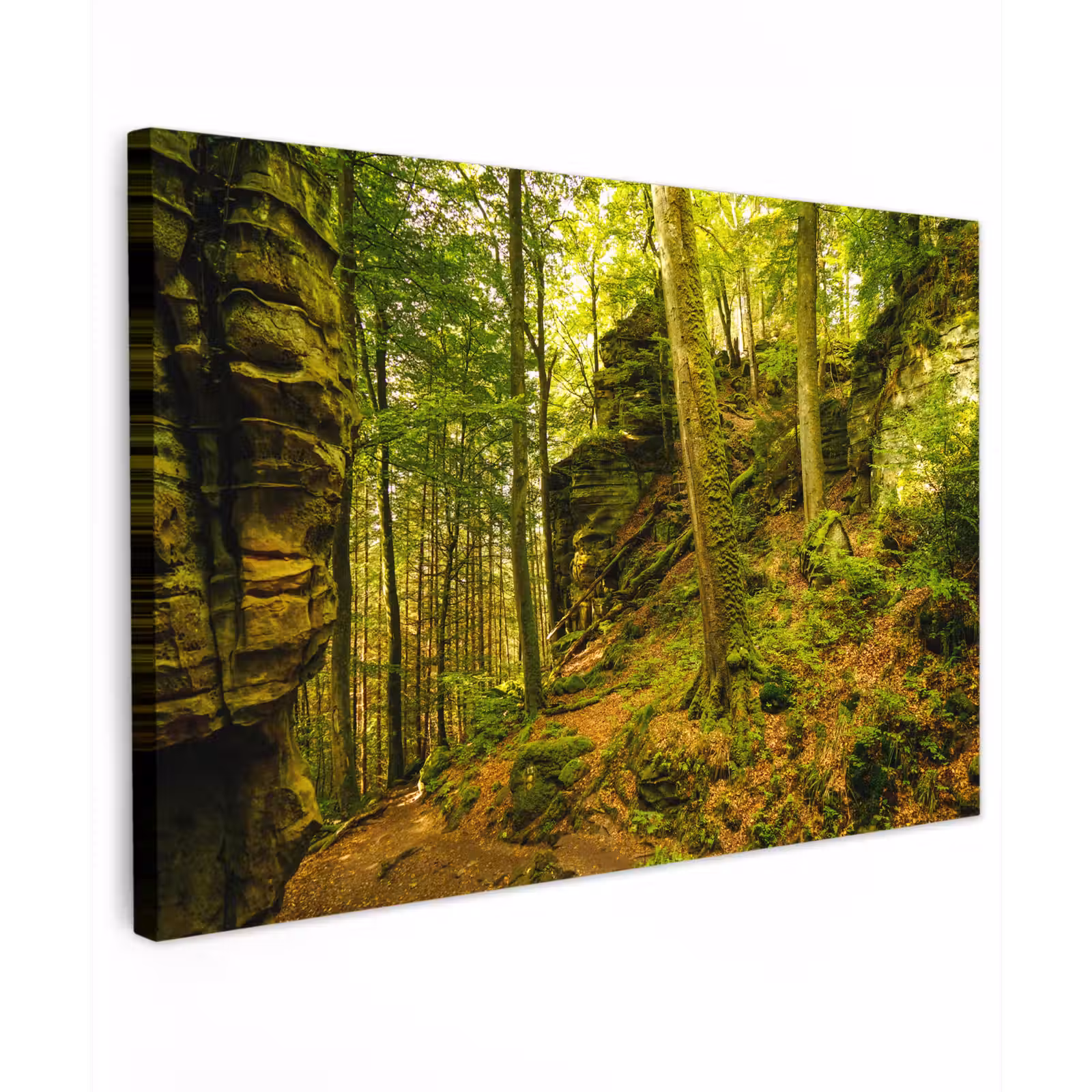 Buiten canvas - Bosrijke rotsformatie — 1
