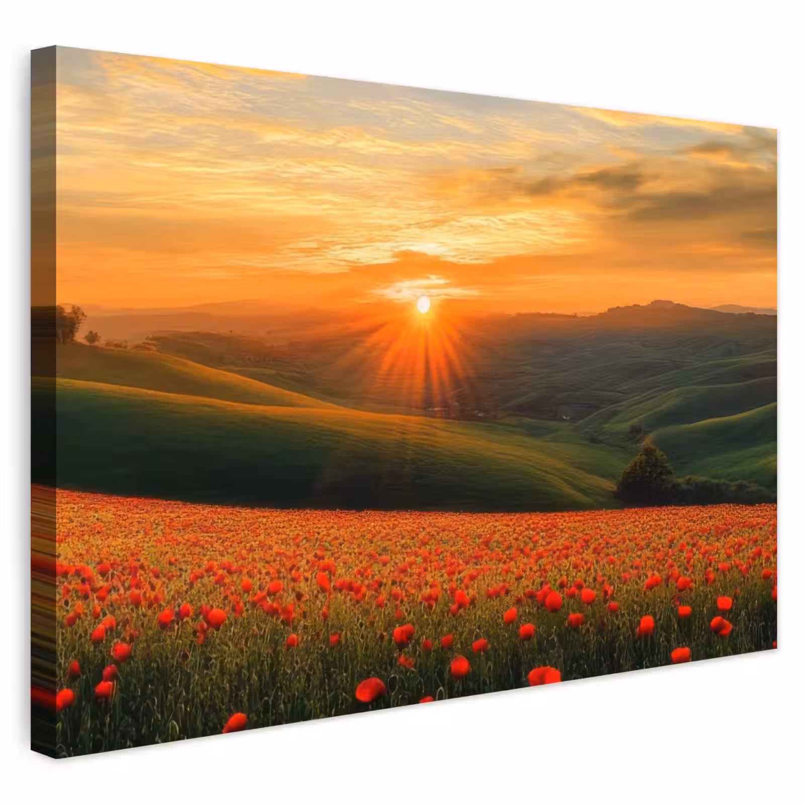 Buiten canvas - Klaprozen - Bloemen - Heuvels - Zonsondergang — 1
