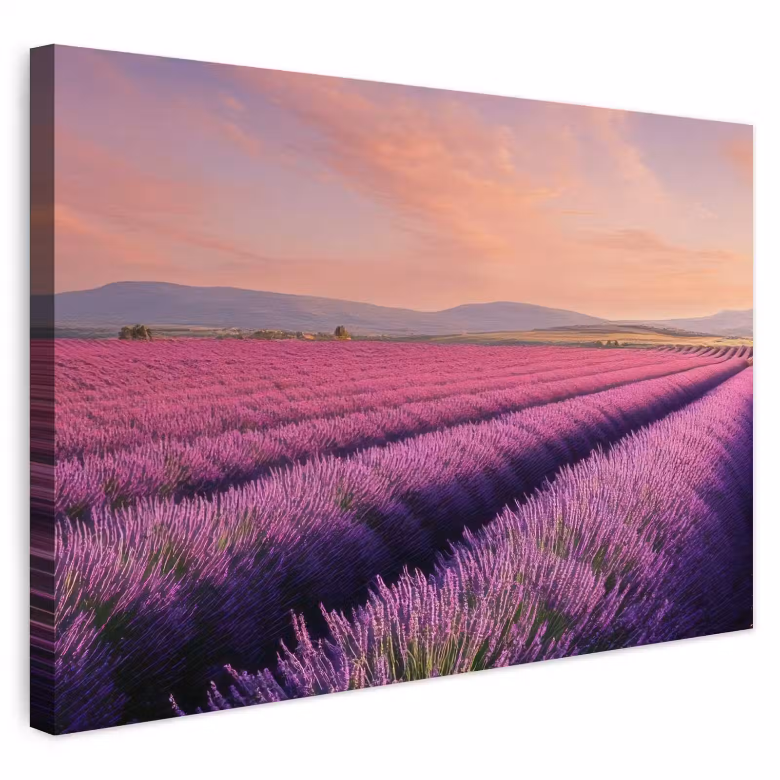 Buiten canvas - Lavendelveld - Zonsondergang - Paars - Bloemen — 1