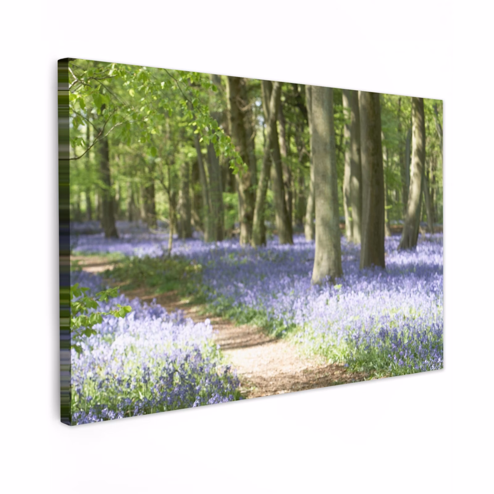 Buiten canvas - Lente bos met blauwe bloemen — 1