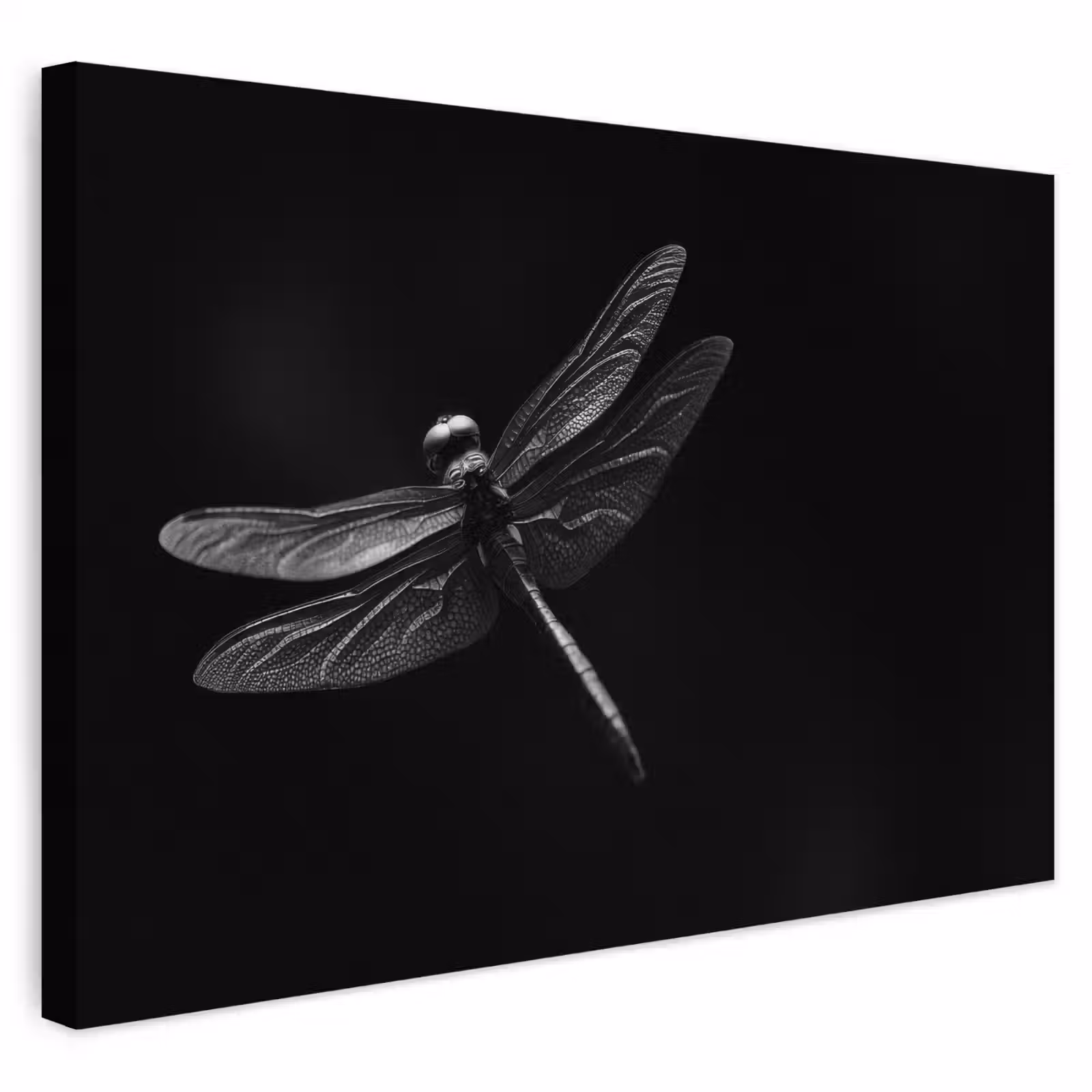 Buiten canvas - Libelle - Dieren - Zwart - Insect — 1