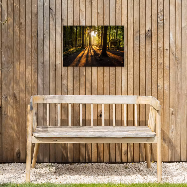 Buiten canvas - Avondlicht in het bos — 3