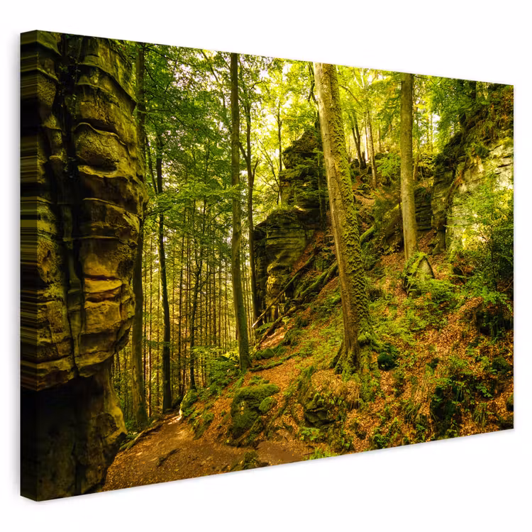 Buiten canvas - Bomen - Steen - Bos - Natuur - Planten — 1