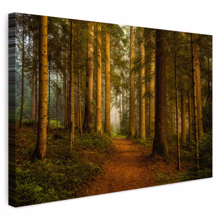 Buiten canvas - Bos - Natuur - Bomen - Landschap - Bladeren — 1