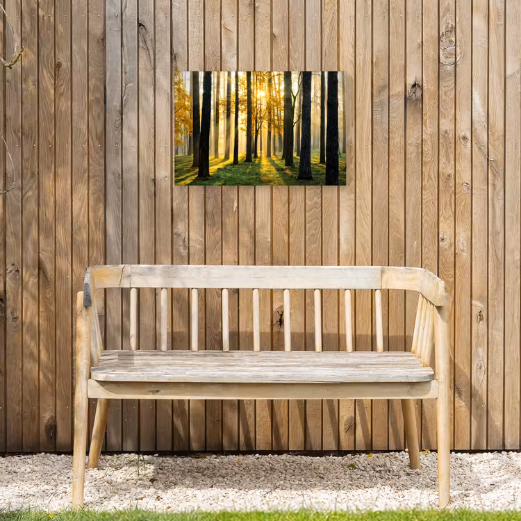 Buiten canvas - Bos - Zon - Bomen - Gras - Landschap - Natuur — 3