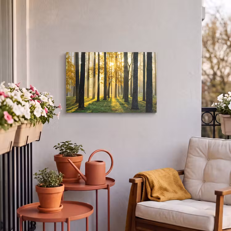 Buiten canvas - Bos - Zon - Bomen - Gras - Landschap - Natuur — 4