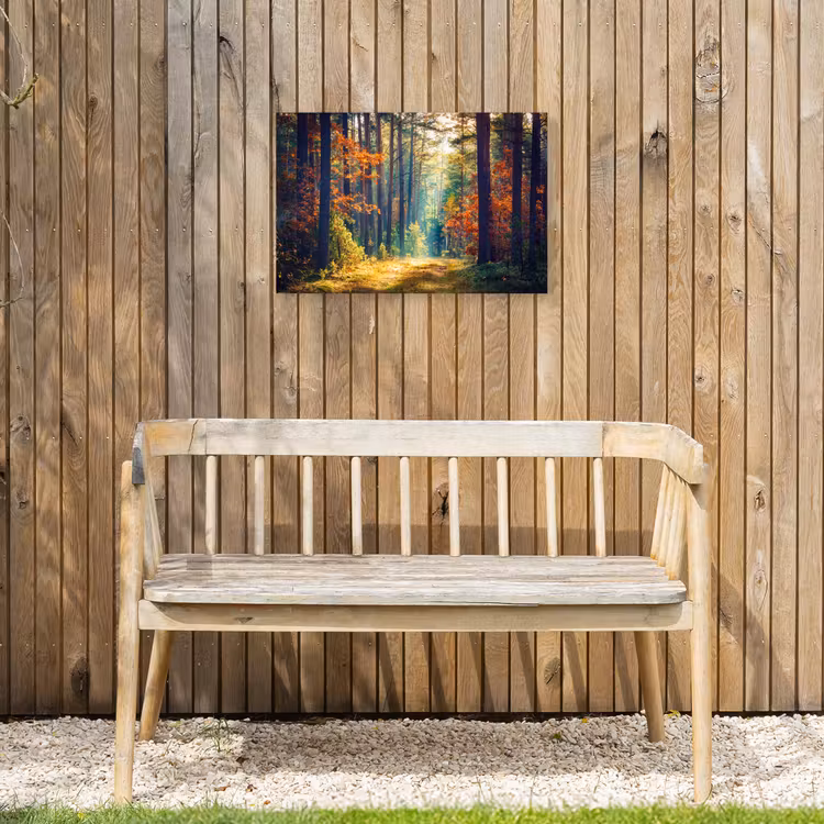 Buiten canvas - Bos - Zon - Natuur - Herfst — 3