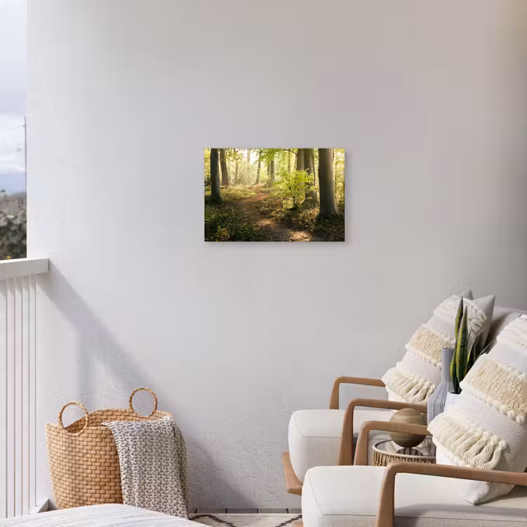 Buiten canvas - Bospad bij zonsopgang — 4