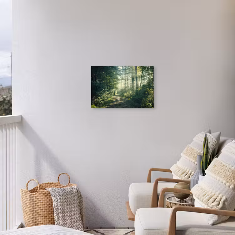 Buiten canvas - Bosweg in ochtendlicht — 4