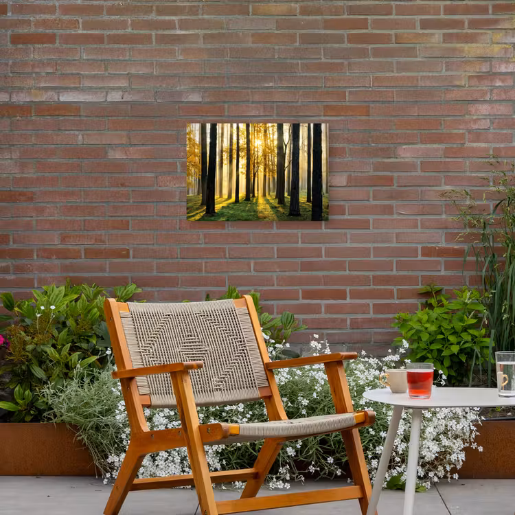 Buiten canvas - Gouden bos bij zonsopgang — 2