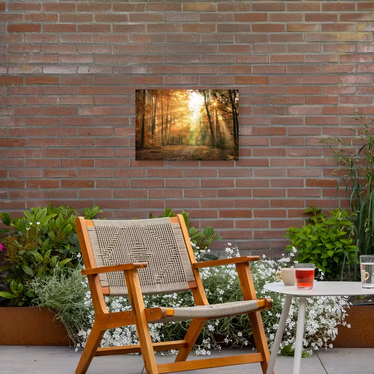 Buiten canvas - Herfstbos in gouden zonlicht — 2