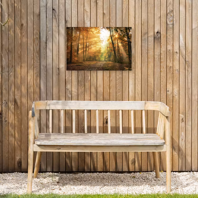 Buiten canvas - Herfstbos in gouden zonlicht — 3