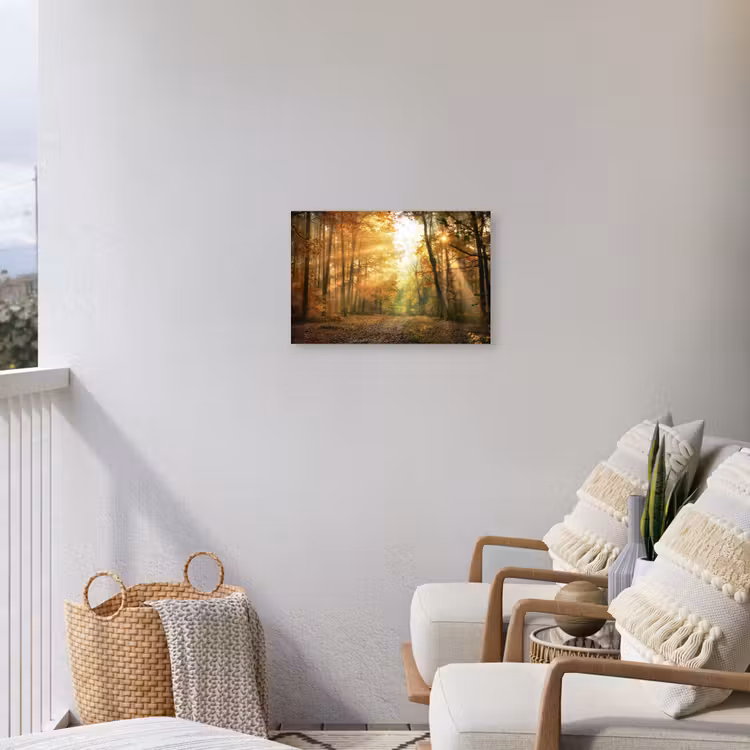 Buiten canvas - Herfstbos in gouden zonlicht — 4