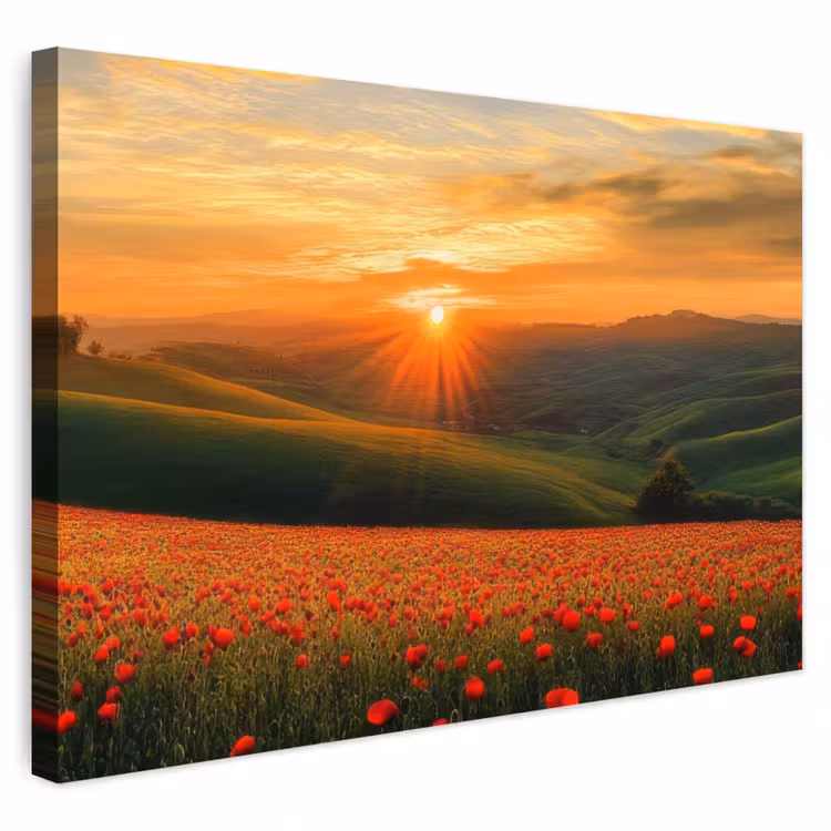 Buiten canvas - Klaprozen - Bloemen - Heuvels - Zonsondergang — 1