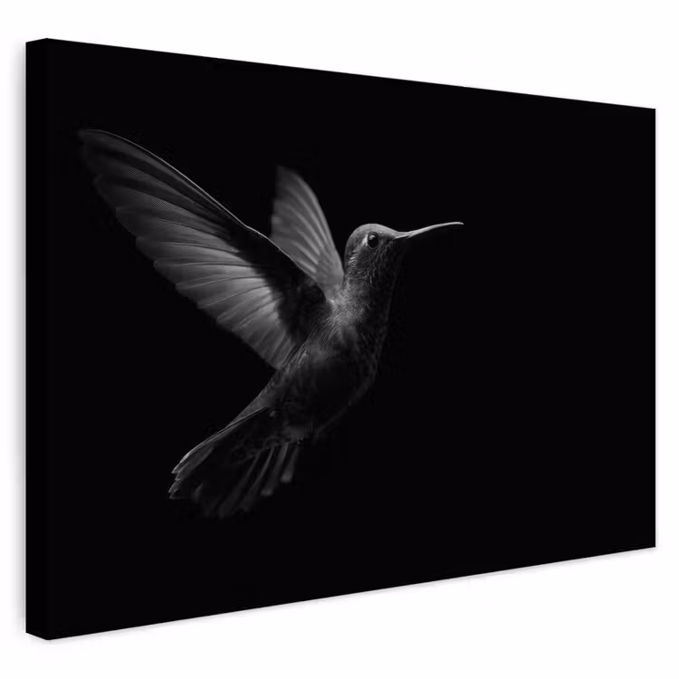 Buiten canvas - Kolibrie - Zwart - Dieren — 1