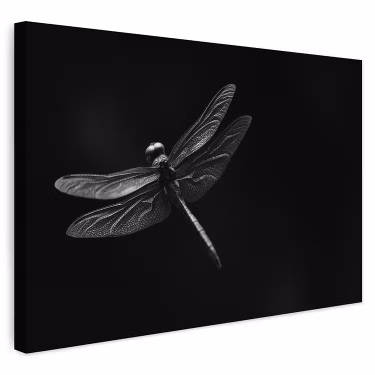 Buiten canvas - Libelle - Dieren - Zwart - Insect — 1