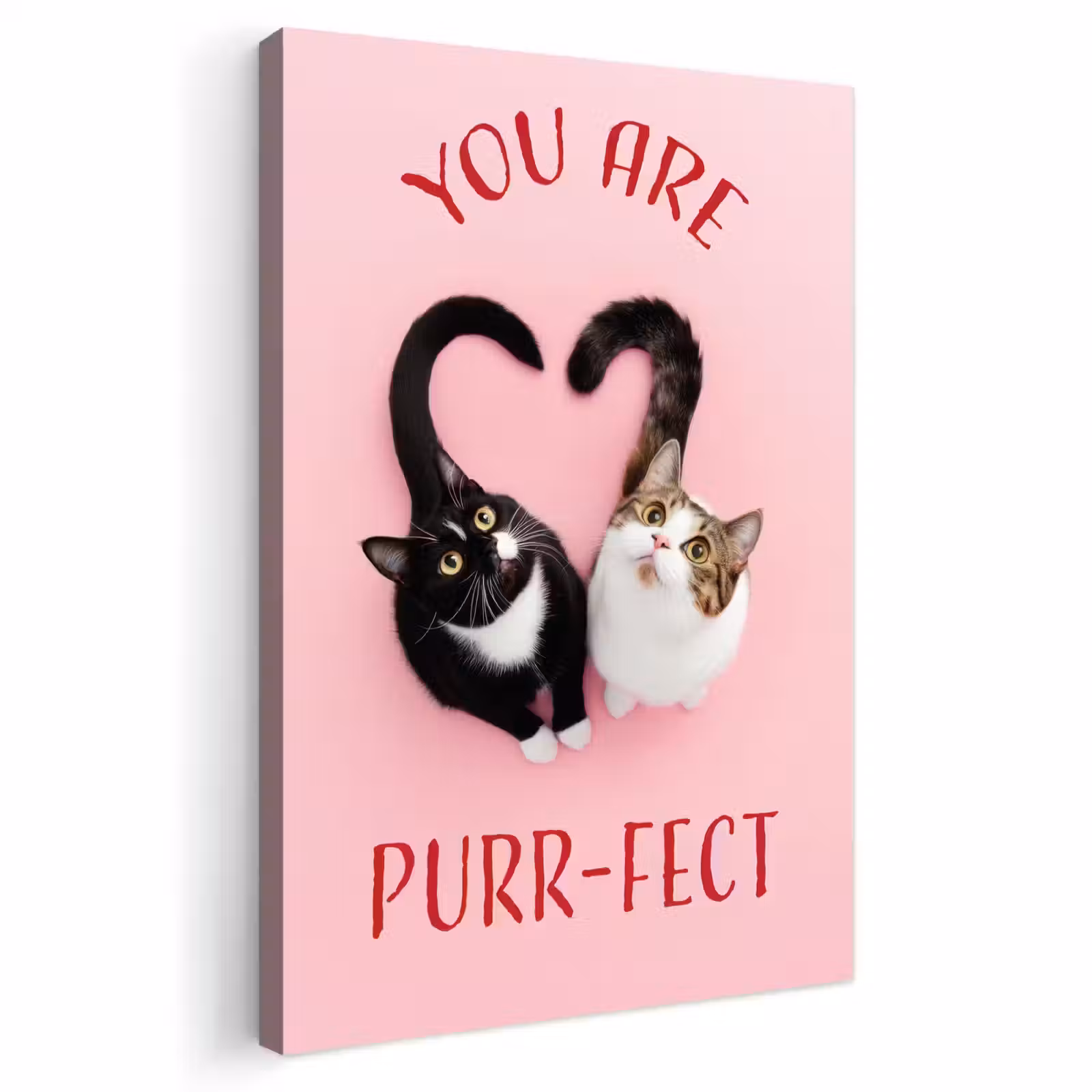 Buiten canvas - Kat - Hart - Tekst - Valentijn — 1