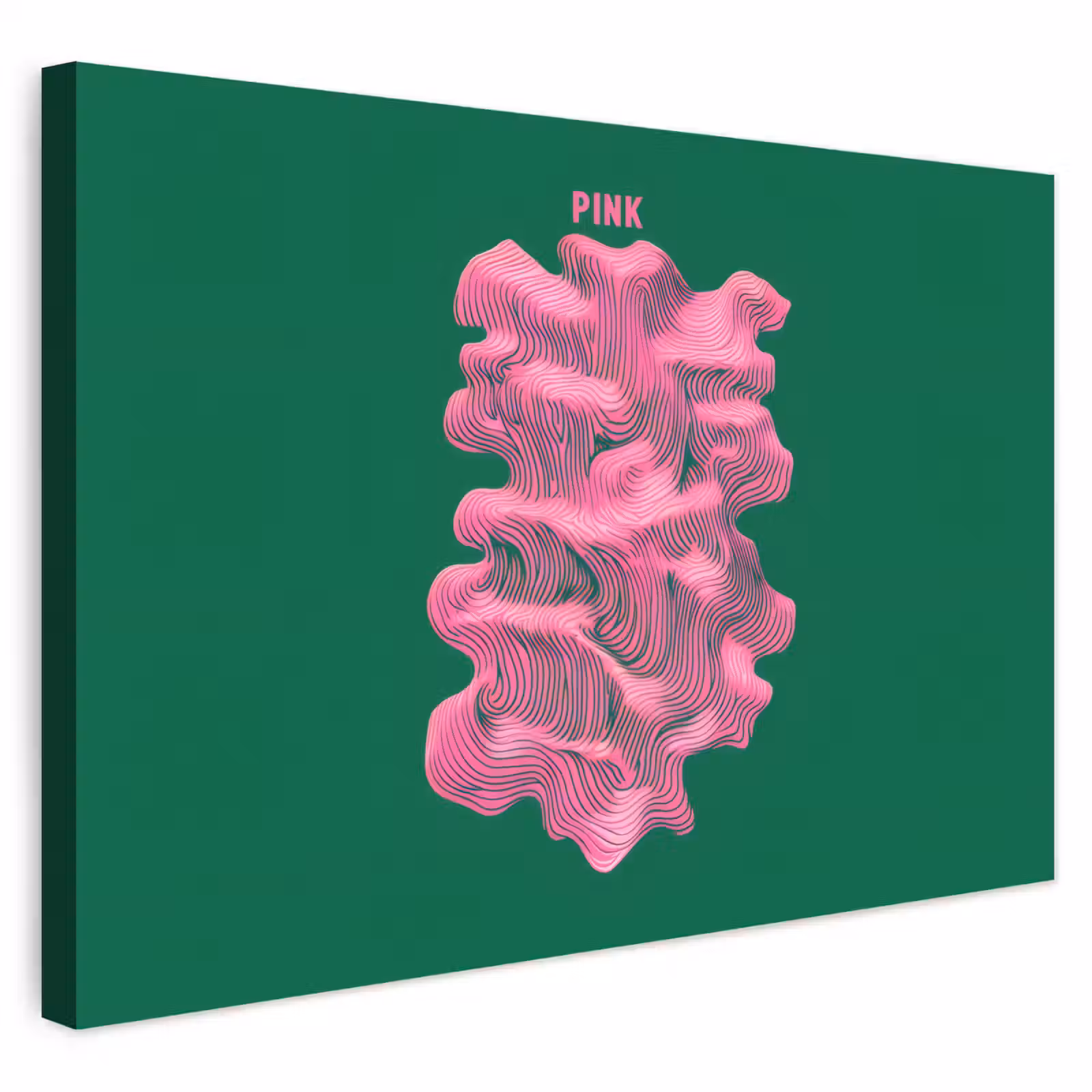 Buiten canvas - Abstract - Pink - Lijnen - Groen — 1