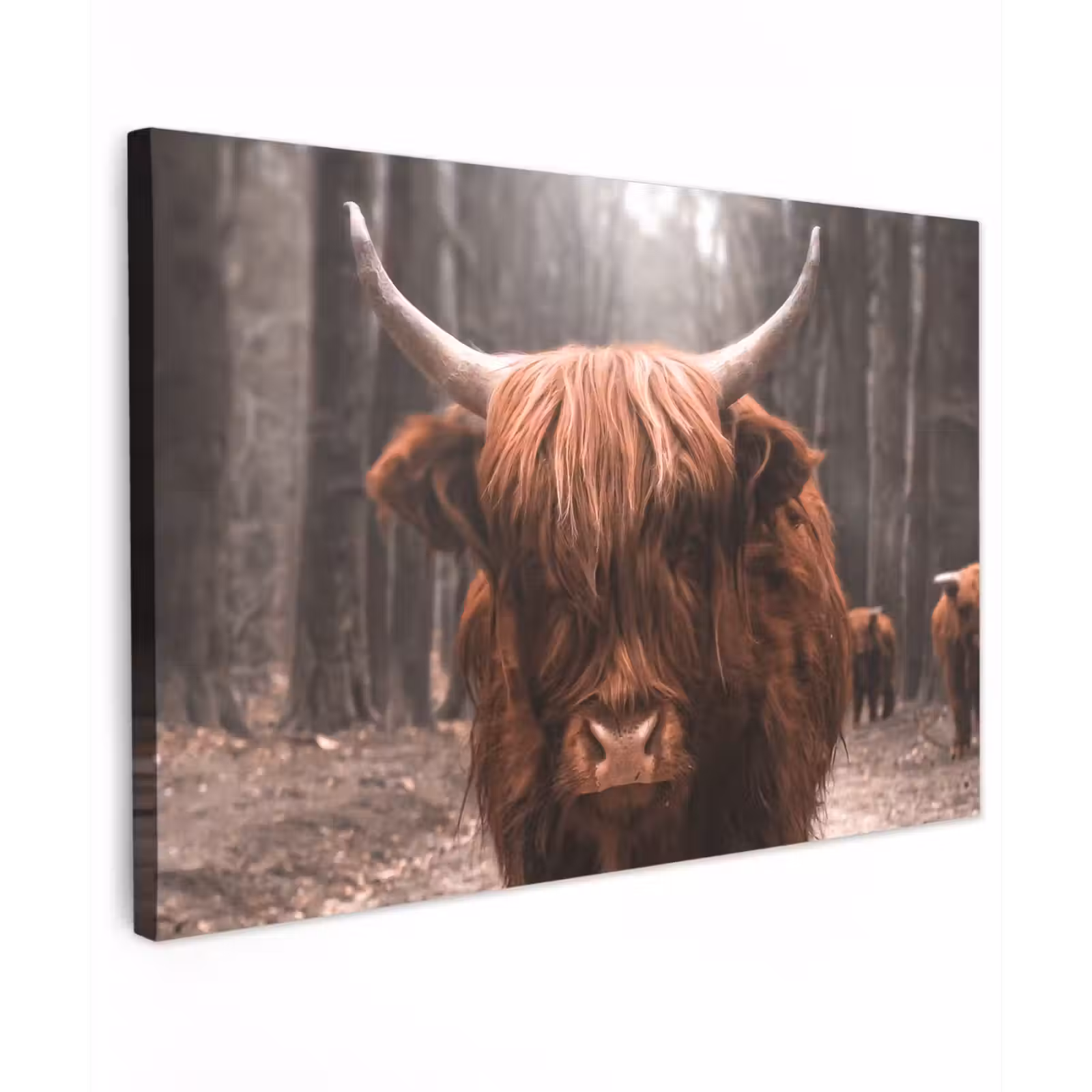 Buiten canvas - Hooglander in het Bos — 1