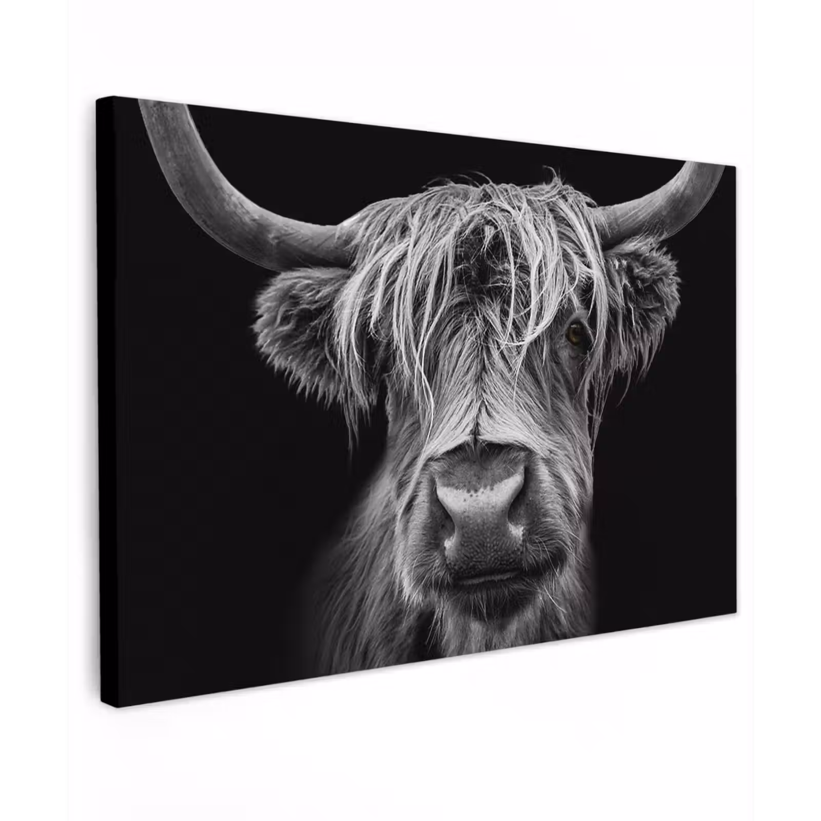 Buiten canvas - Hooglander in Zwart-Wit — 1