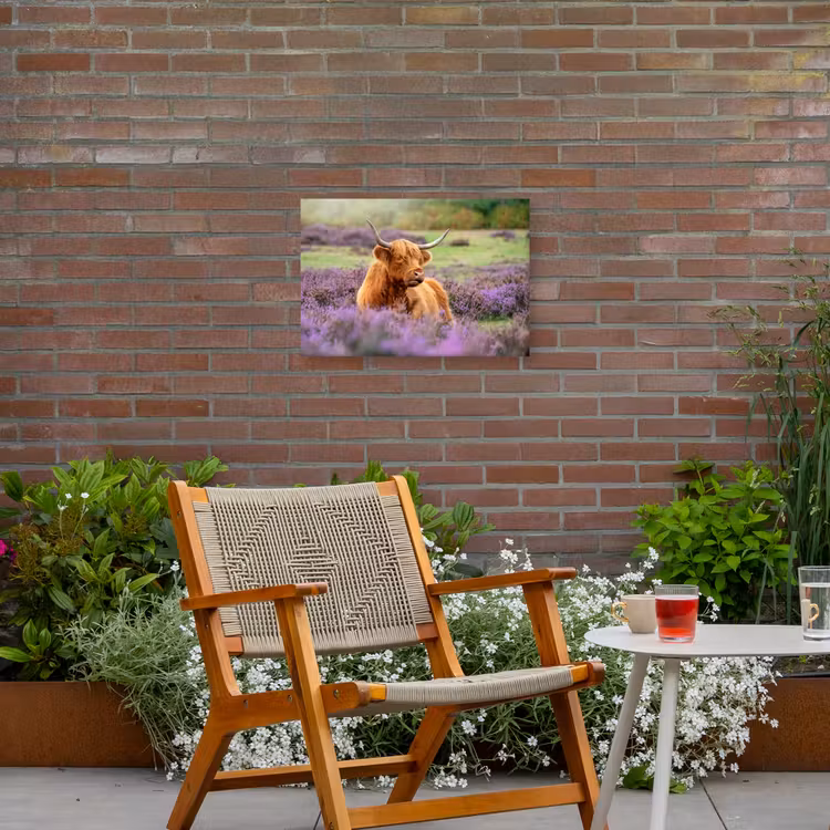 Buiten canvas - Hooglander in de Heide — 2