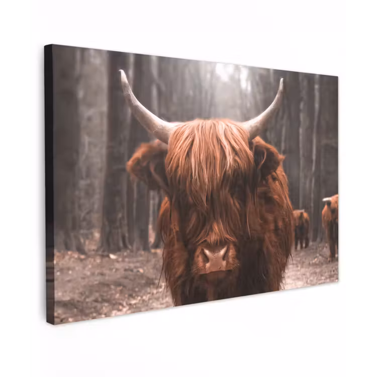 Buiten canvas - Hooglander in het Bos — 1
