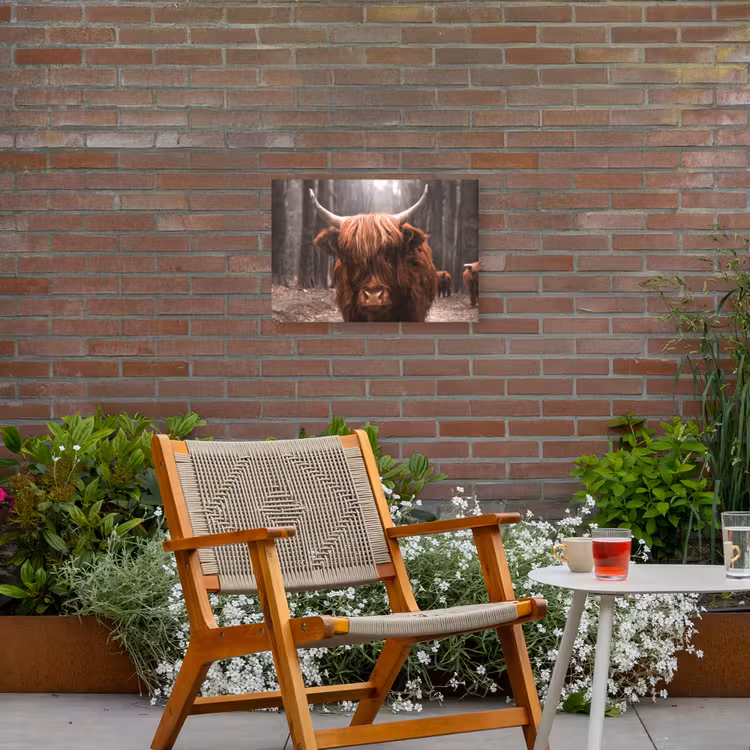 Buiten canvas - Hooglander in het Bos — 2