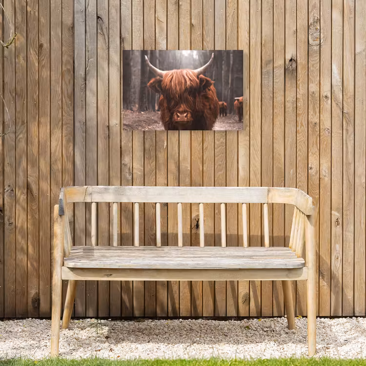 Buiten canvas - Hooglander in het Bos — 3