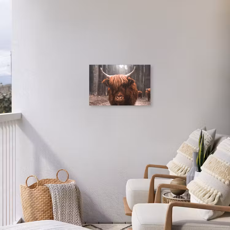 Buiten canvas - Hooglander in het Bos — 4