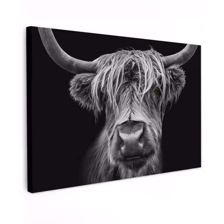 Buiten canvas - Hooglander in Zwart-Wit — 1