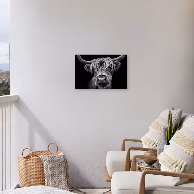 Buiten canvas - Hooglander in Zwart-Wit — 4