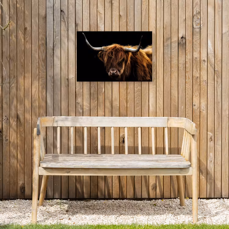 Buiten canvas - Hooglander tegen Zwarte Achtergrond — 3