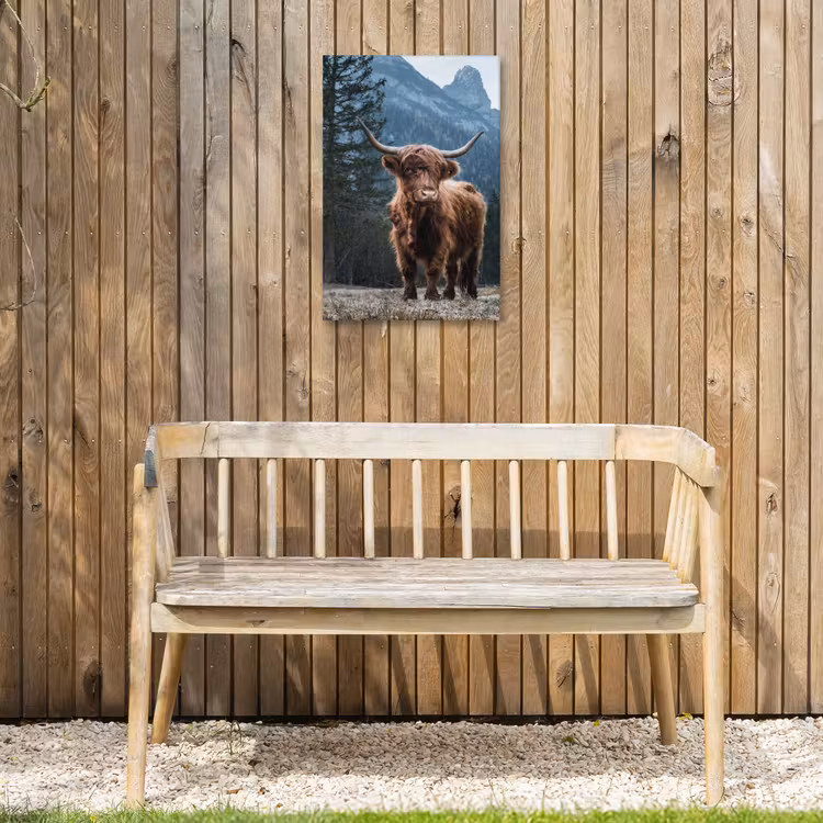 Buiten canvas - Hooglander voor Bergen — 3