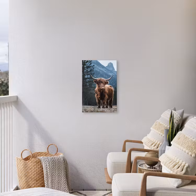 Buiten canvas - Hooglander voor Bergen — 4