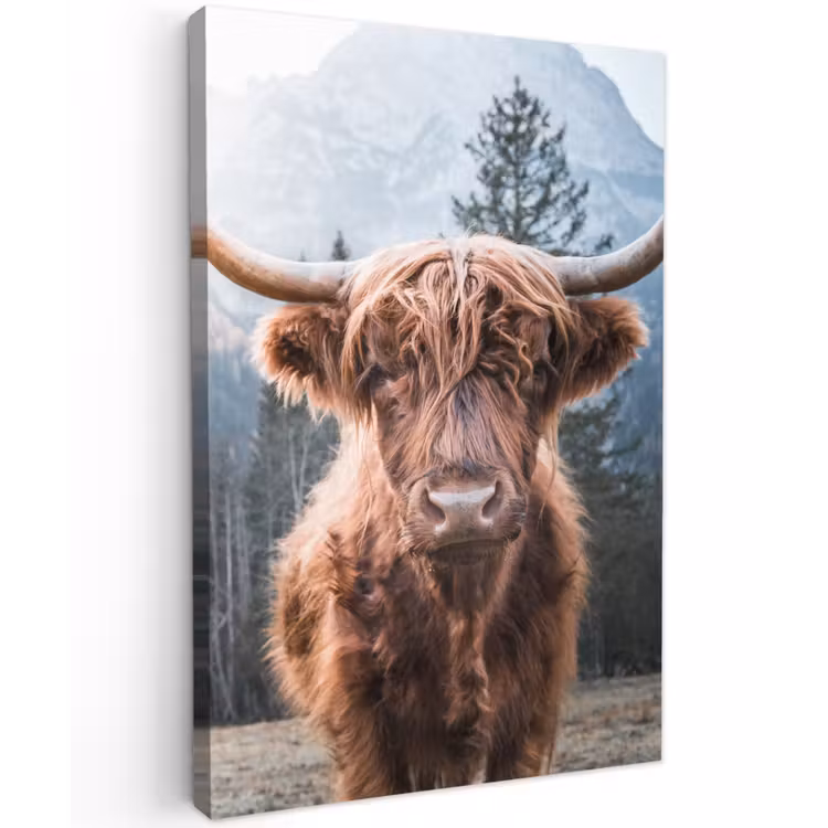 Buiten canvas - Imposante Hooglander in de Natuur — 1