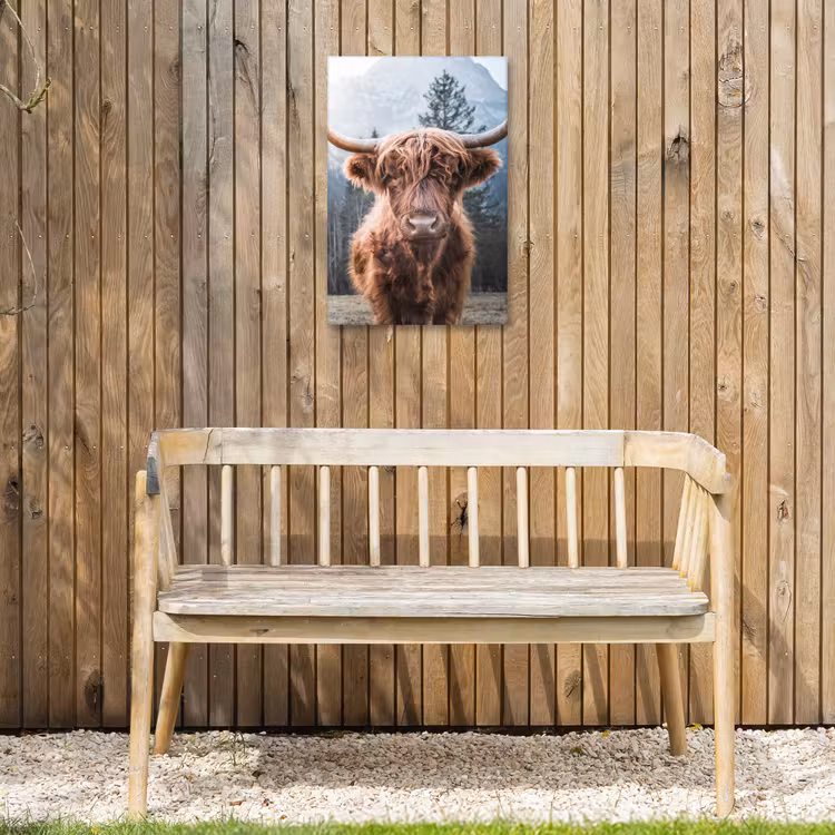 Buiten canvas - Imposante Hooglander in de Natuur — 3